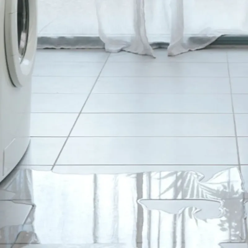 Appliance Leak Cleanup in Sacramento, CA