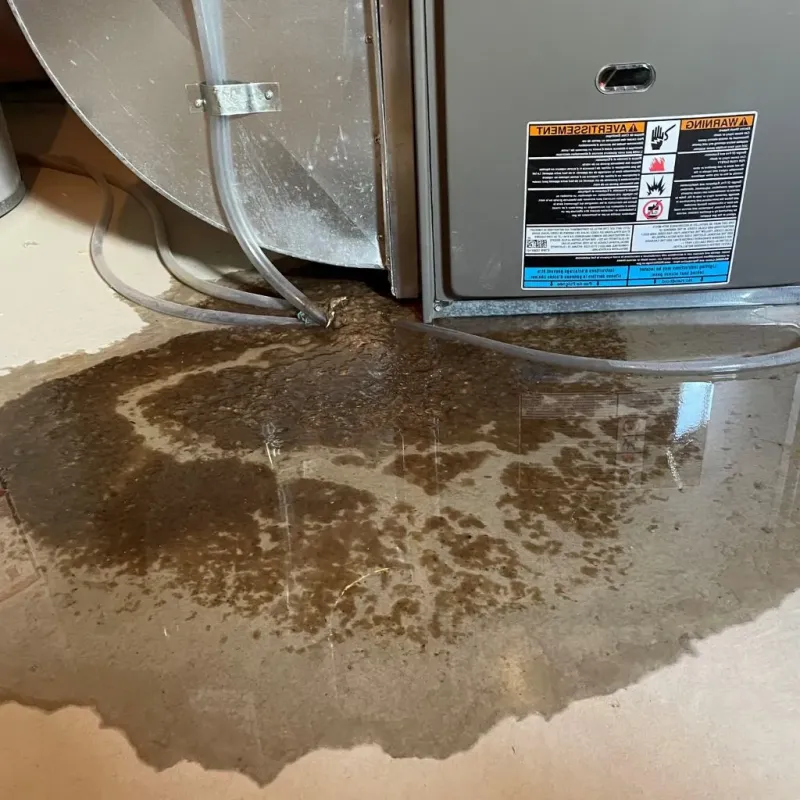 Pipe Burst and Leak Restoration in Sacramento, CA